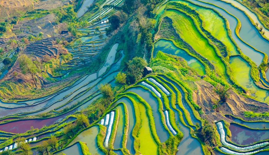 宁洱产品视频拍摄